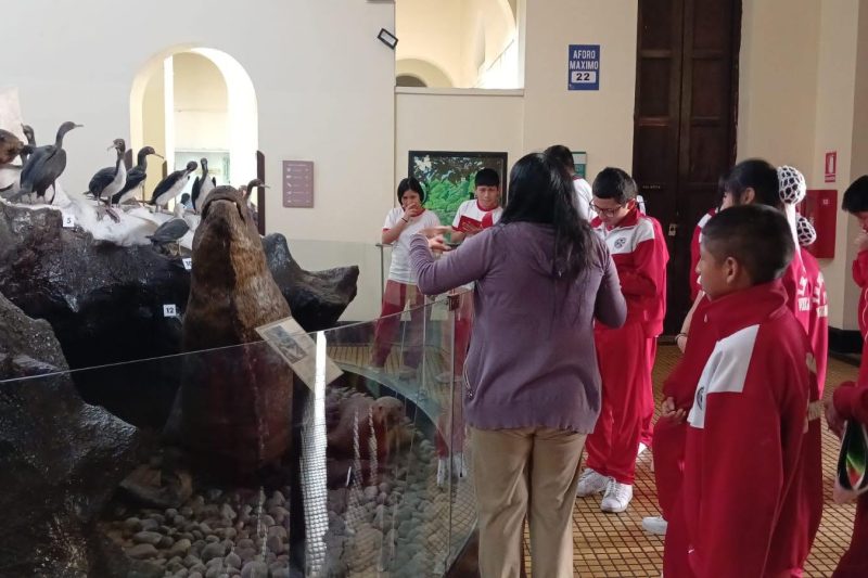 VISITA AL MUSEO DE HISTORIA NATURAL – 1ER AÑO SECUNDARIA